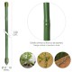 Tutor Varilla Bambú Plastificado Ø 8 - 10 mm. x 120 cm. (Paquete 10 Unidades)