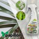 Propoleo Para Hongos y Bacterias 500 ml. Propolis, Fungicida Ecologico, Propoleo de abeja, (Permitido en agricultura ecologica)